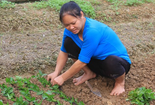 Sau tai nạn, Chị Nguyễn Thị Thao (vợ anh Lưu) kiên quyết không cho chồng tiếp tục nghề đi biển. Hai vợ chồng anh giờ tập trung làm ruộng vườn, phát triển kinh tế tại địa phương