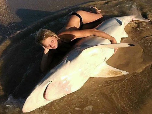 Cô gái chụp hình tự sướng với cá mập