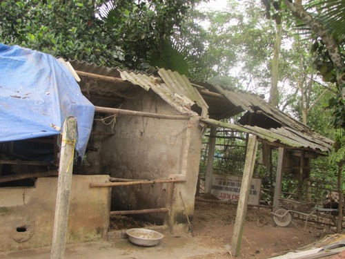 Tủ kính và công trình chuồng bò của gia đình ông Sơn cũng bị ném đá, hư hỏng nặng