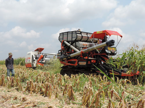 HAGL công bố ‘siêu dự án’ nông nghiệp tại Campuchia