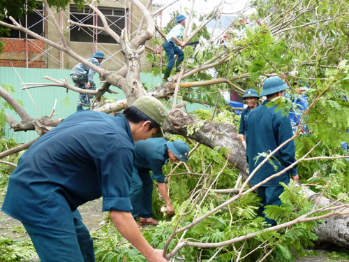 Năm 2014: bão mạnh và đến sớm