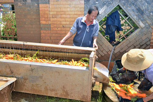 Tự tạo cơ hội: Nông dân chế tạo máy rửa cà rốt 