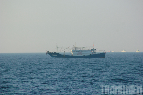 Tàu gỗ của ngư dân Trung Quốc hoạt động ngang nhiên trên vùng biển Việt Nam 10