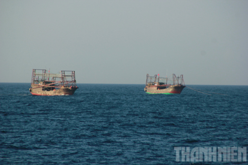 Tàu gỗ của ngư dân Trung Quốc hoạt động ngang nhiên trên vùng biển Việt Nam 11
