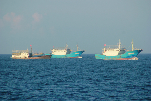 Tàu gỗ của ngư dân Trung Quốc hoạt động ngang nhiên trên vùng biển Việt Nam 13