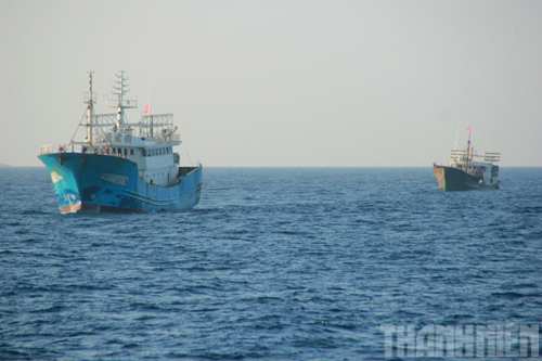 Tàu gỗ của ngư dân Trung Quốc hoạt động ngang nhiên trên vùng biển Việt Nam 15