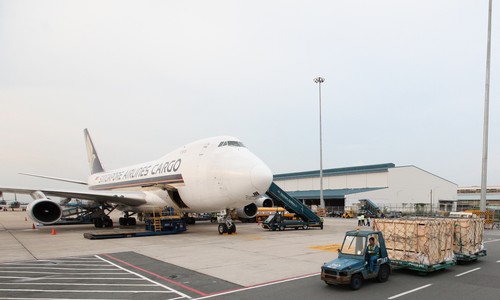 Sau chuyến hành trình 8 giờ vượt đại dương, ngày 19.05.2014, chuyến bay mang số hiệu SQ 7285 của hãng hàng không Singapore Airlines chở 200 con bò cao sản mang thai từ Melbourne, Australia đã về đến sân bay Tân Sơn Nhất, TP.HCM 