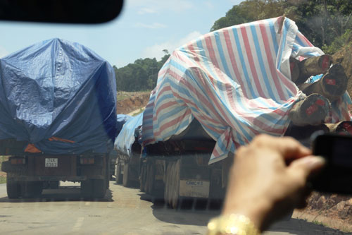 Hàng trăm xe gỗ quá tải “mắc kẹt” tại cửa khẩu La Lay 5