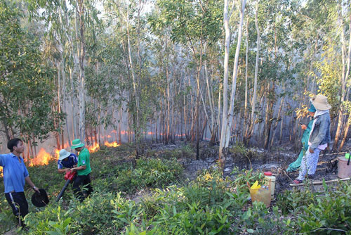 Cháy rừng do đốt vàng mã: cháy rụi hơn 10 ha rừng