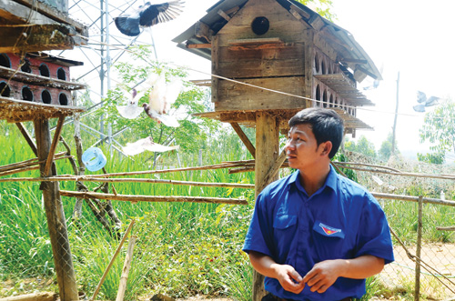 Chăn nuôi theo cách chẳng giống ai