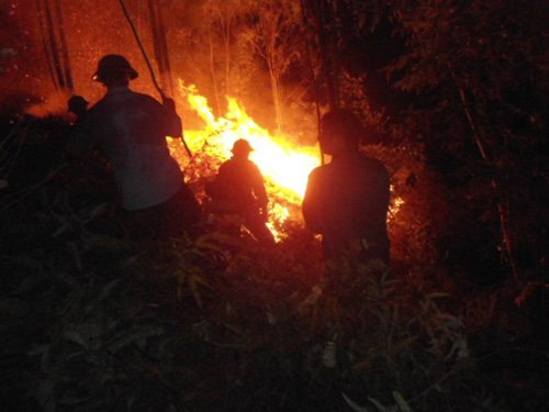 Cơ quan chức năng tham gia dập lửa - Ảnh: Đạt Nguyễn