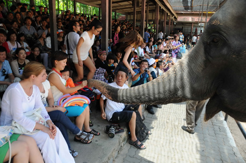 Du khách xem xiếc voi tại Thái Lan - Ảnh: Diệp Đức Minh