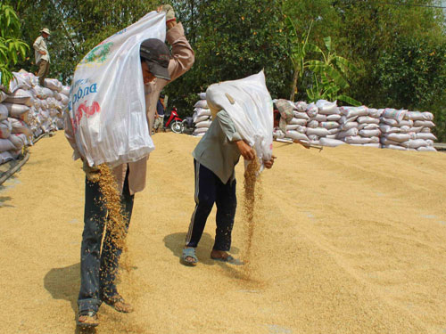 Đặc biệt trên báo in ngày 30.6.2014