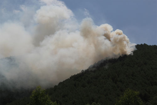Nửa tháng, 16 vụ cháy rừng 