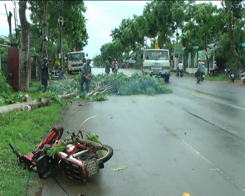 Tai bay vạ gió