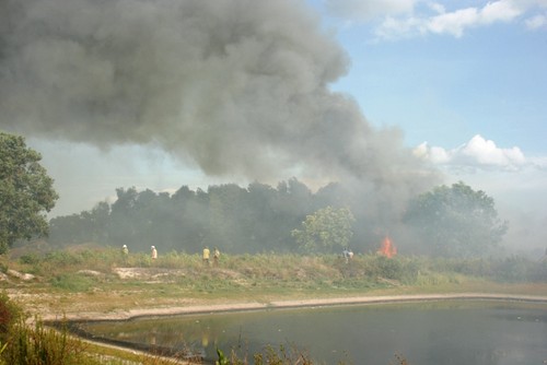 Đám cháy lan nhanh thiêu rụi nhiều diện tích rừng trồng và rừng hoang chắn cát