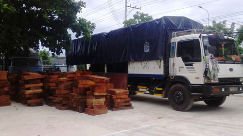Xe chở gỗ vượt tải trọng 140,3%