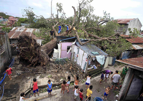 Cây đổ làm hư hại 4 ngôi nhà sau khi bão Rammasun quét qua Philippines - Ảnh: Reuters