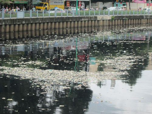 Cá chết hàng loạt nổi lềnh bềnh trên kênh Nhiêu Lộc - Thị Nghè