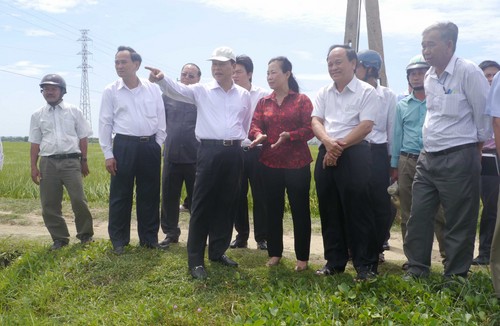 Phó Thủ tướng Vũ Văn Ninh và Đoàn công tác Trung ương thăm Cánh đồng mẫu lớn ở Phước Sơn