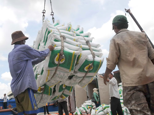 Tiềm năng xuất khẩu gạo bất ngờ bị đánh giá thấp