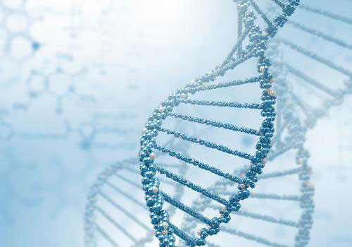 Không đến 10% số ADN của người đang làm việc