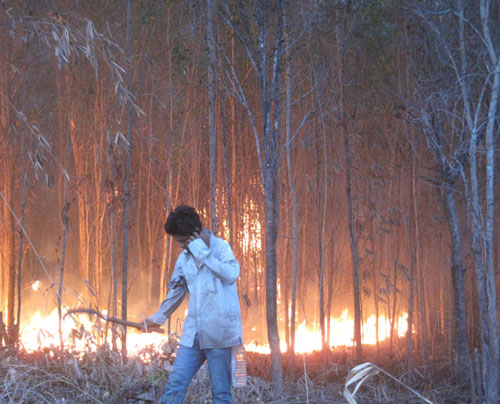 Cháy 5 ha rừng trồng ở Phú Yên  2