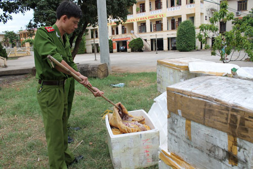 Gần 600 kg 