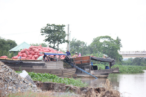 Nhiều cảng, bến ở Tây Ninh hoạt động không phép