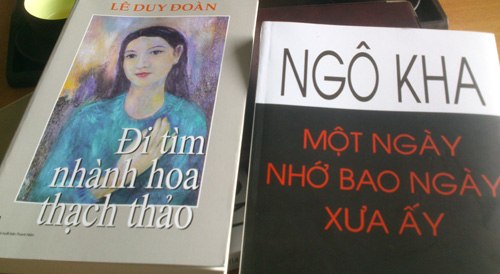 Bìa hai cuốn sách mới vừa được ra mắt tại Huế - Ảnh: B.N.L