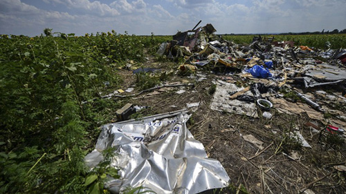 Thảm họa MH17 đang đẩy hãng Malaysia Airlines vào cảnh khó khăn - Ảnh: AFP