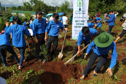 Quỹ 1 triệu cây xanh cho Việt Nam đến với Điện Biên 4