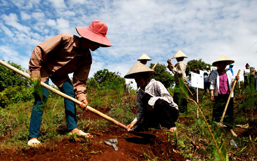 Quỹ 1 triệu cây xanh cho Việt Nam đến với Điện Biên 5
