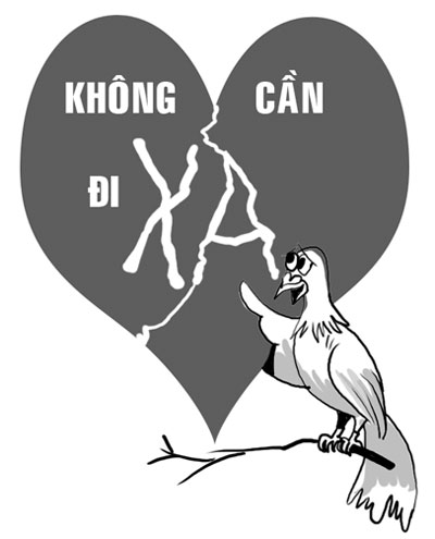 Vườn hồng 3