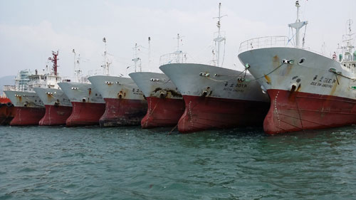 Bộ Nông nghiệp từ chối doanh nghiệp thủy sản nhập tàu cá “quá tuổi”