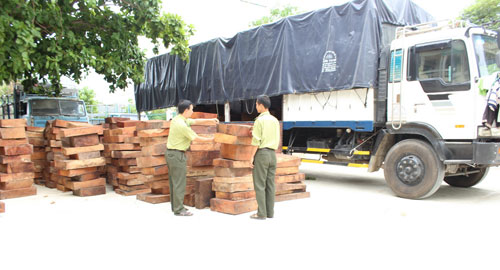 Vụ xe chở gỗ vượt trọng tải 140,3%: Phạt chủ gỗ 150 triệu đồng