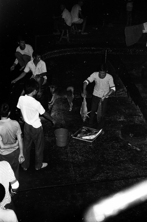 Hoạt động tập thể của bộ đội Trường Sa dịp Lễ Tết, những năm 70-80 - Ảnh: Nguyễn Viết Thái