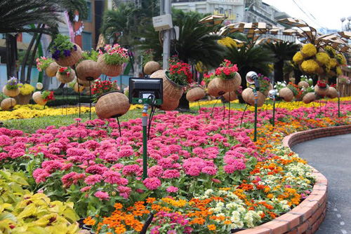 Đường Nguyễn Huệ nhiều năm qua được chọn để tổ chức đường hoa mỗi dịp tết Nguyên đán s