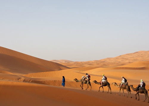 Sa mạc Sahara có diện tích trên 9,4 triệu km2 - Ảnh: Shuttertstock