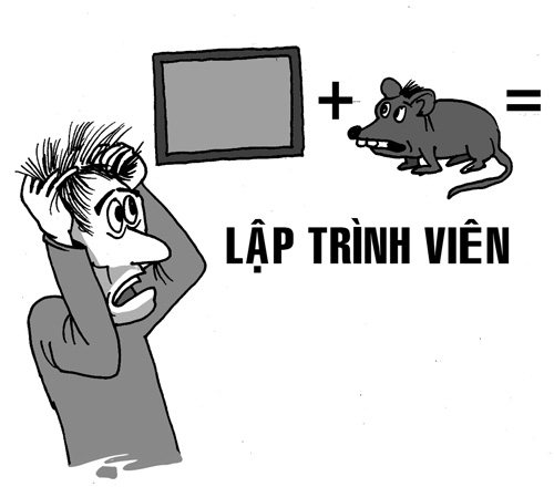 Chuyên viên lập trình d