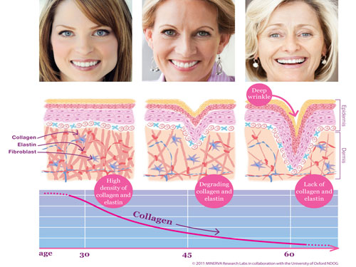 Sự thật cần biết về collagen và cách sử dụng hiệu quả