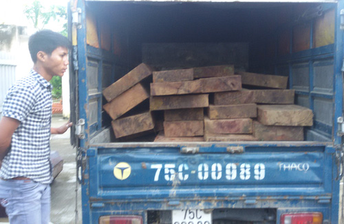 Cảnh sát môi trường liên tục bắt giữ gỗ lậu