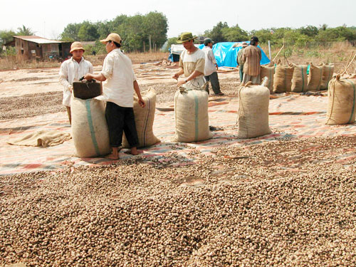 Đặc biệt trên báo in ngày 14.10.2014