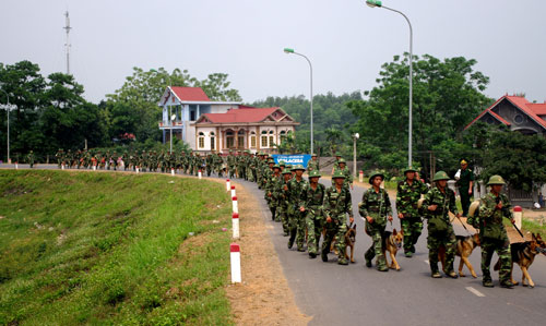 Quân khuyển dũng mãnh trên thao trường 13