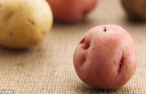 Nhập viện cấp cứu vì sử dụng củ khoai tây để tránh thai 