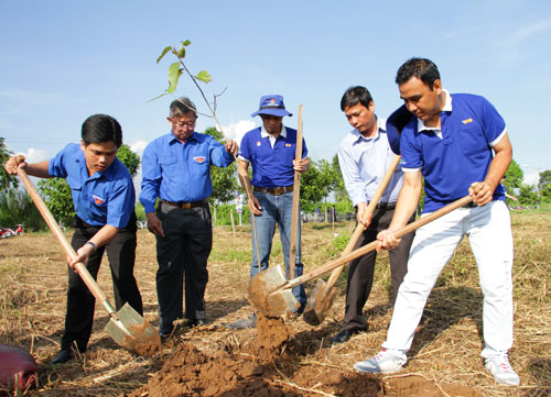 Làm đẹp môi trường