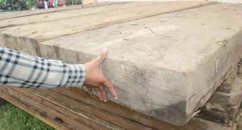 Có nhiều phách gỗ quý rộng với khổ 75 cm x 18 cm