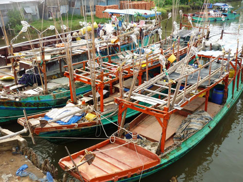 'Dầu tặc' hoành hành ở cửa biển Khánh Hội
