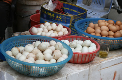 Bộ trưởng Cao Đức Phát yêu cầu làm rõ giấy phép hành quả trứng