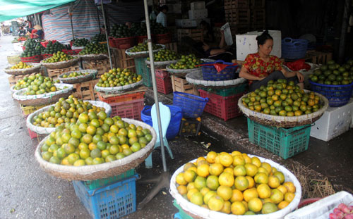 Hoa quả Việt Nam được bày bán nhiều hơn so với hàng Trung Quốc - Ảnh: P.Hậu